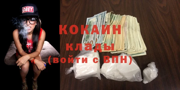 mix Инта