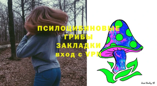 ГАЛЛЮЦИНОГЕННЫЕ ГРИБЫ Иннополис