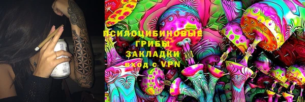 mix Инта