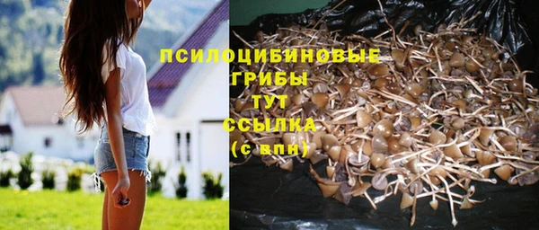 mix Инта