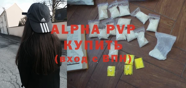 ГАЛЛЮЦИНОГЕННЫЕ ГРИБЫ Иннополис