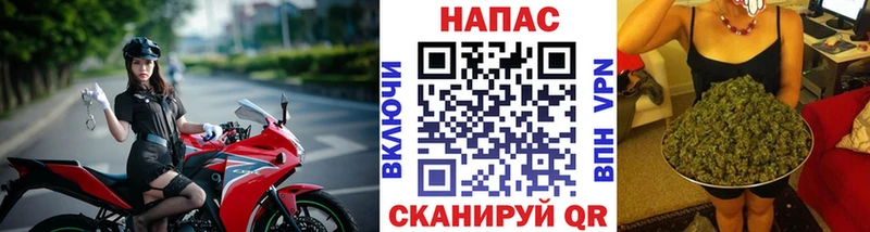 Канабис SATIVA & INDICA  Купить закладки  Саки 